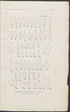 Plate 4. - Arrowheads of different forms. Fayum, Egypt.