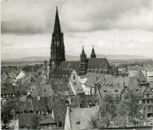 Blick auf das Freiburger Münster
