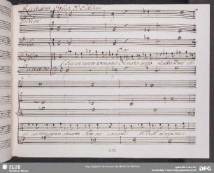 Recitativo: Ecco un nuovo tormento