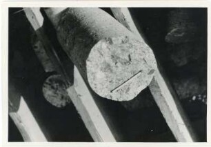 Dresden-Gittersee. Grubenfeld Gittersee. Bohrkern von Unkersdorfer Tuff
