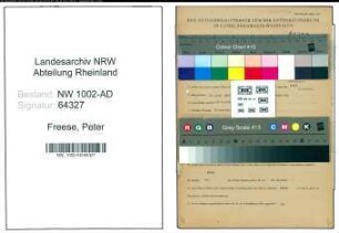 Entnazifizierung Peter Freese, geb. 18.06.1886 (Angest.)
