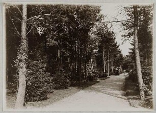 Parthie vor den (...), Ohlsdorfer Friedhof Hamburg