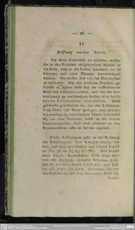 55. Eröffnung trockner Früchte