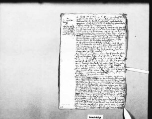 Entwurf eines Berichts zur Wiedereinstellung des Bauknechts Conrad Rauw (Folio)