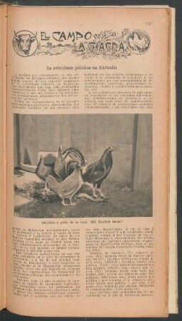 La avicultura práctica en Australia