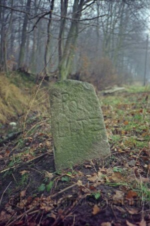 Krummbek: gegenüber von Am Park 4: Grenzstein [Nr. 105] zwischen Pölitz und Gut Krummbeck: Seite Pölitz