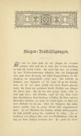 Fliegen-Beschäftigungen