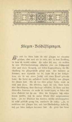 Fliegen-Beschäftigungen