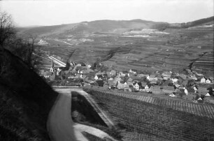Bickensohl: Umgelegte Weinberge mit Blick nach Bickensohl