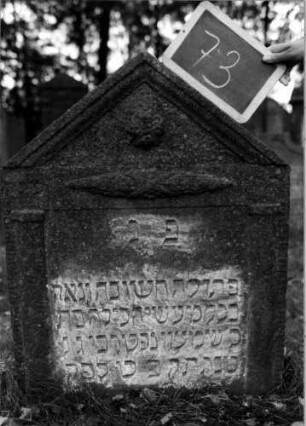 Grabstein 73 (Index: 100111152) Material: Sandstein Zustand: leicht verwittert Maße HxBxT: 88x69x10 cm Beschreibung: ädikulaartige Stele mit Halbsäulen, giebelartiger Abschluß Symbolik: Lorbeergirlande, Blüte: Grabstein 73