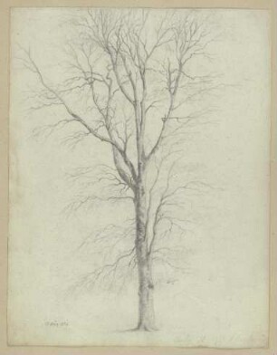 Kahler Baum