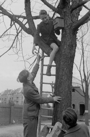 Schüler mit einem Vogel-Nistkasten : Schüler beim Anbringen des Nistkastens an einem Baum