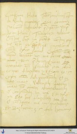[1r-2r] Handschriftliche Ausführungen zur Passion Christi