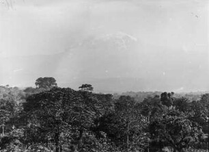 Landschaft und Kibo : Landschaft im Kilimandscharo-Gebiet mit dem schneebedeckten Kibo im Hintergrund
