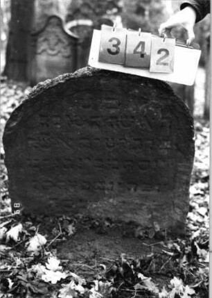 Grabstein 342 (Index: 99752542) Material: Sandstein Zustand: stark verwittert Maße HxBxT: 72x72x7 cm Beschreibung: Stele, Segmentbogenabschluß: Grabstein 342
