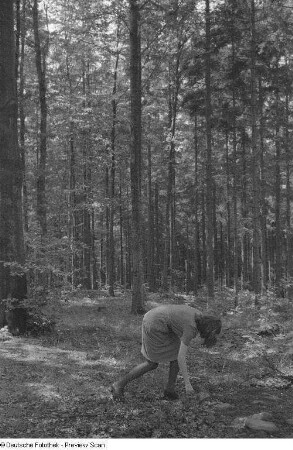 Renate Rössing im Wald suchend