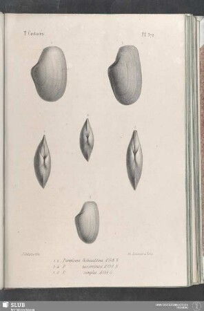 Pl. 372
