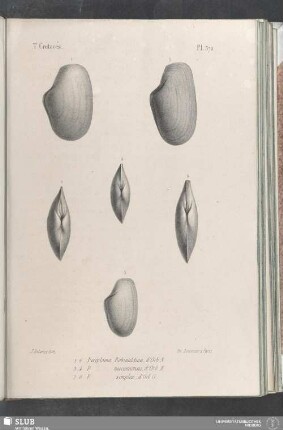 Pl. 372