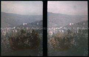Blick von der Molkenkur auf dem Kleinen Gaisberg auf Heidelberg