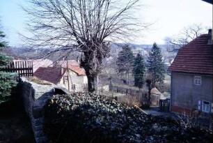 Mauer mit Efeu, Baum und Häuser