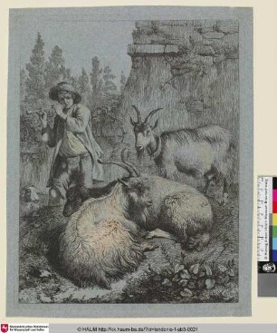 [Der Hirt auf der Flöte spielend, vorn eine Ziege und ein Hammel liegend, in der Ferne eine stehende Ziege und ein Schaaf]