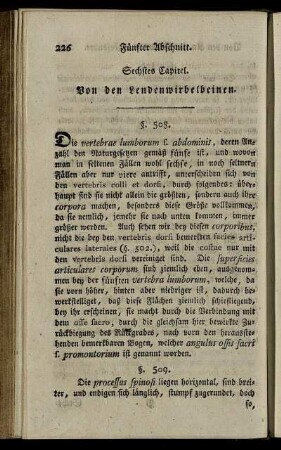 Sechstes Capitel. Von den Lendenwirbelbeinen. § 508-513.