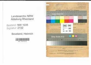 Entnazifizierung Heinrich Boveland , geb. 22.09.1910 (Baufuehrer)