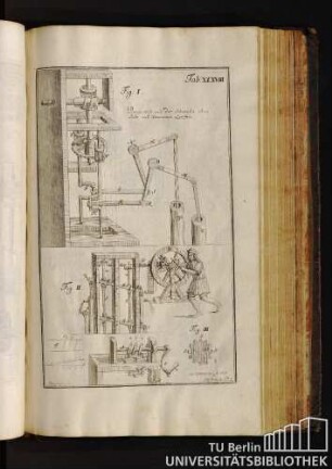 Tab. XXXVIII. Pumpwerck mit der Schraube ohne Ende und krummen Zapffen.