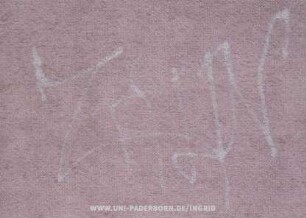ZAUN