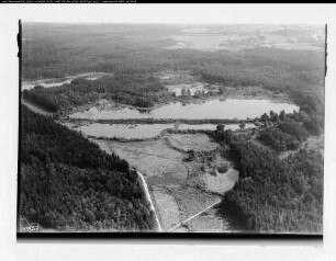 Siebengebirge, Staatsforst Teiche