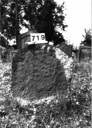 Grabstein 719
