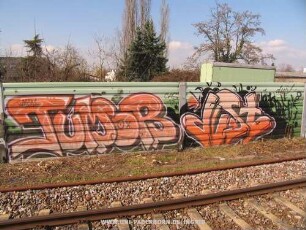 BoNuS TuMoR duSt