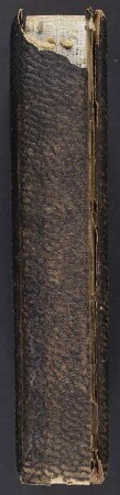 Dresdener Familienalbum : Dresdener Familienalbum. Ledereinband, geprägt mit Metallmontierung, Goldschnitt und Metallschließe; 34 x 21 x 7 cm (um 1890). Dresden: SLUB/DF 2017.D.22