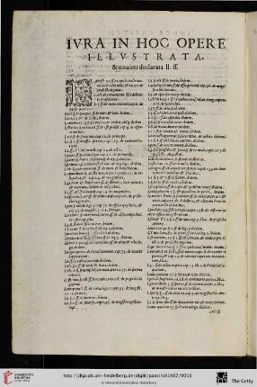 Iura declarata