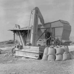 Auf dem Druschplatz der Landwirtschaftlichen Produktionsgenossenschaft „Georgi Dimitroff“ in Razhevo Konare