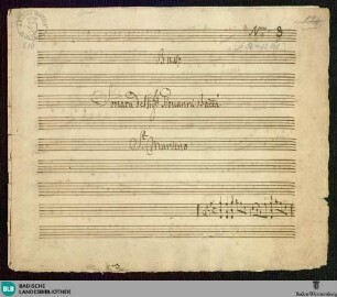 Symphonies - Mus. Hs. 816 : vl (2), vla, cor (2), b; G; JenS 48