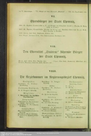 VIII. Ärztekammer im Regierungsbezirk Chemnitz