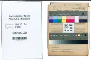 Entnazifizierung Carl Schmidt , geb. 02.01.1894 (Schmiedemeister)