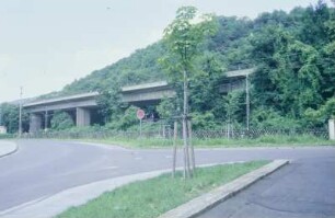 Drachenbrücke Königswinter