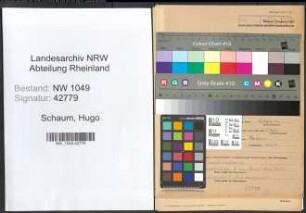 Entnazifizierung Hugo Schaum , geb. 20.06.1878 ()