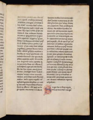 Surget leo de stirpe regali