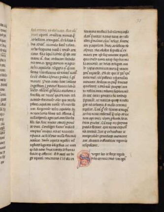 Surget leo de stirpe regali