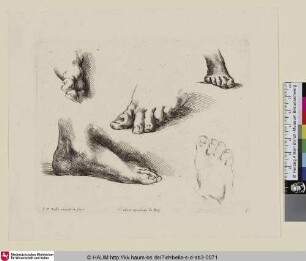 [Fünf Fußstudien; Quatre pieds ombrés et un au trait; Five studies of feet]