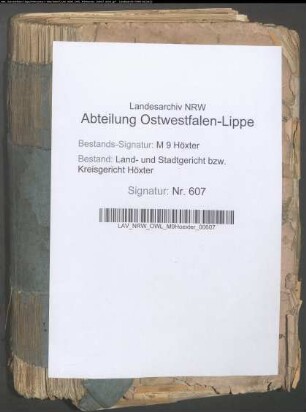 Einleitung von Vormundschaften bei unehelichen Kindern.