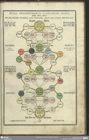Scala Philosophorum Cabalistica Magia : Atque arbor aurea De Mysteriis Numeris Quaternarii, Quinarii Atque Septenarii