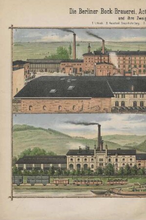 Die Berliner Bock-Brauerei, Actien-Gesellschaft (Tempelhofer Berg) und ihre Zweigniederlassungen