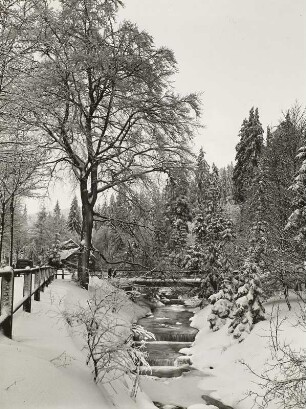 Kipsdorf, Rote Weißeritz mit Brücke, Winteraufnahme