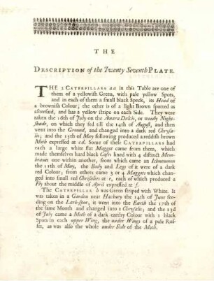 The Description of the Twenty Seventh Plate