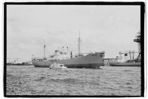 Kamerun (1951), DAL.- Deutsche Afrika-Linie, Deutsche Afrika Linien GmbH & Co., Hamburg