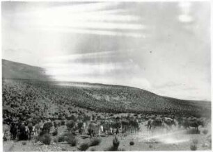 Quebrada del Toro. Jujuy